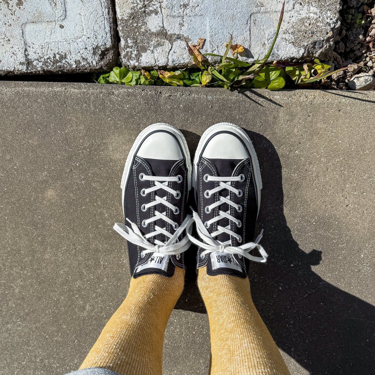 sthkzn's tweet photo. CONVERSE

日本海側を中心に荒��た天気のようですが、東京は晴れ、日差し暖かく感じるほどです。
お昼食べてから買い物ついでの散歩です。

#converse #コンバース #shoes #mensshoes #madeinjapan #sotd #shoesoftheday #今日の足元 #ashitabi #麻砂旅 #youstandard #ユースタンダード https://t.co/RmcQN5V8wI