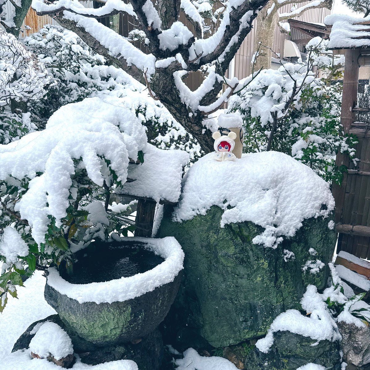 あいら👻 tweet media