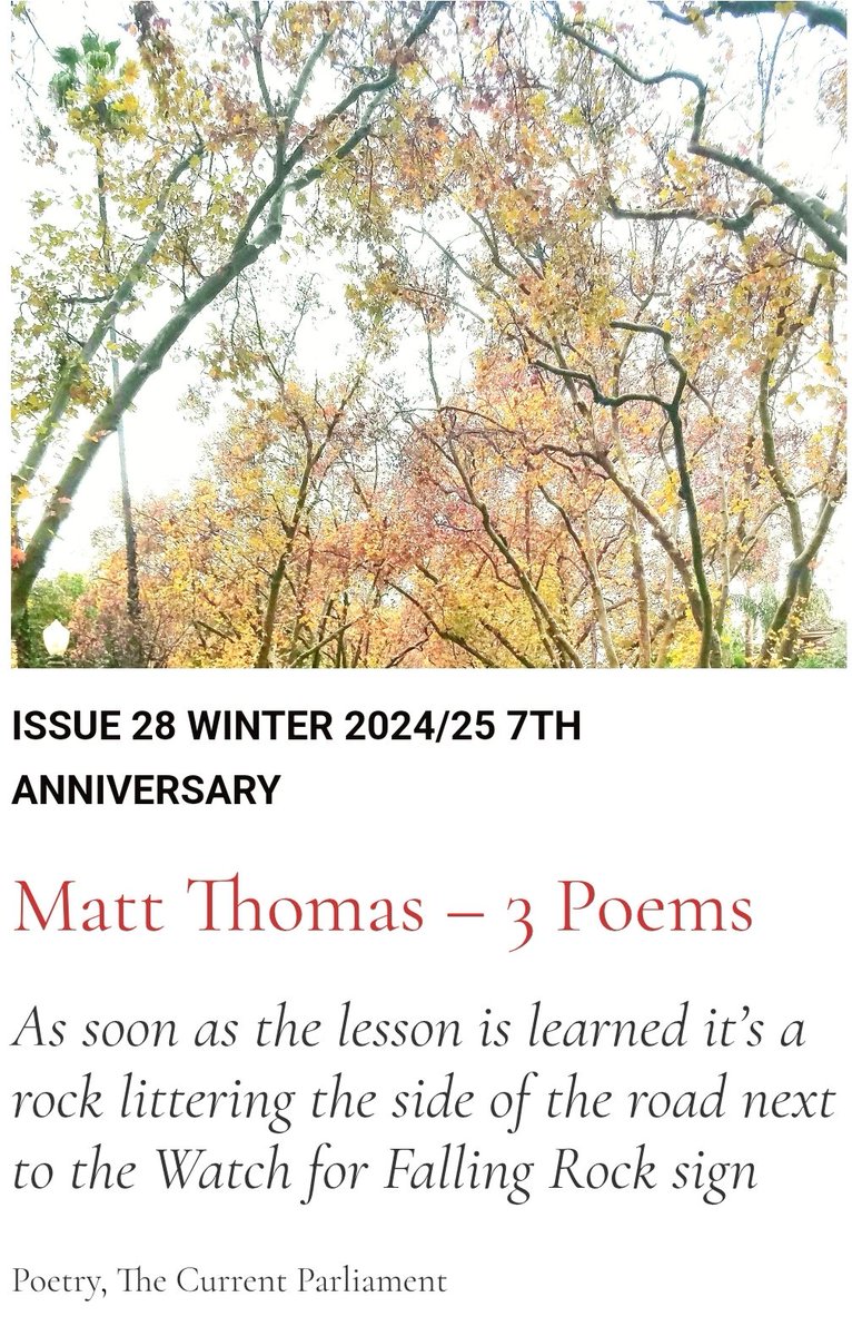 The poet Matt Thomas @mattthomaspoetry has written 3 new poems for our Winter 2025 Issue.  Read them via the links in our bio. #thievingmagpie #literarymischief #poetry #fiction #art #photography #essays #litmag #booklovers