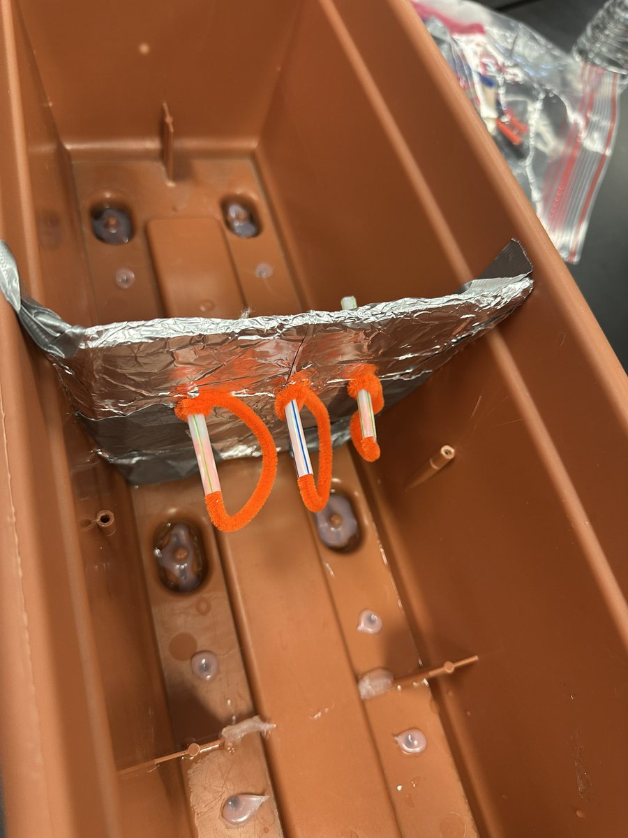 Candace Reid tweet media