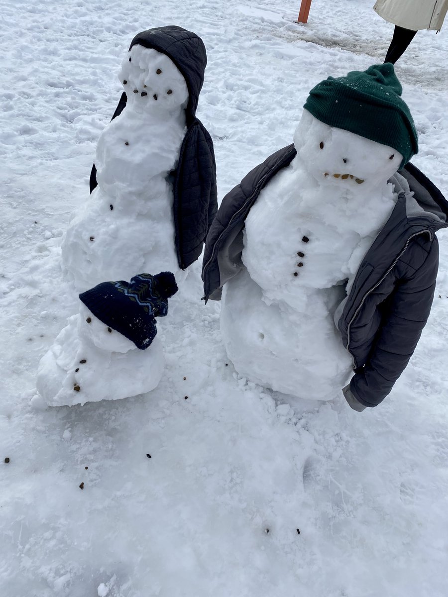 Beaver Bank Monarch tweet media