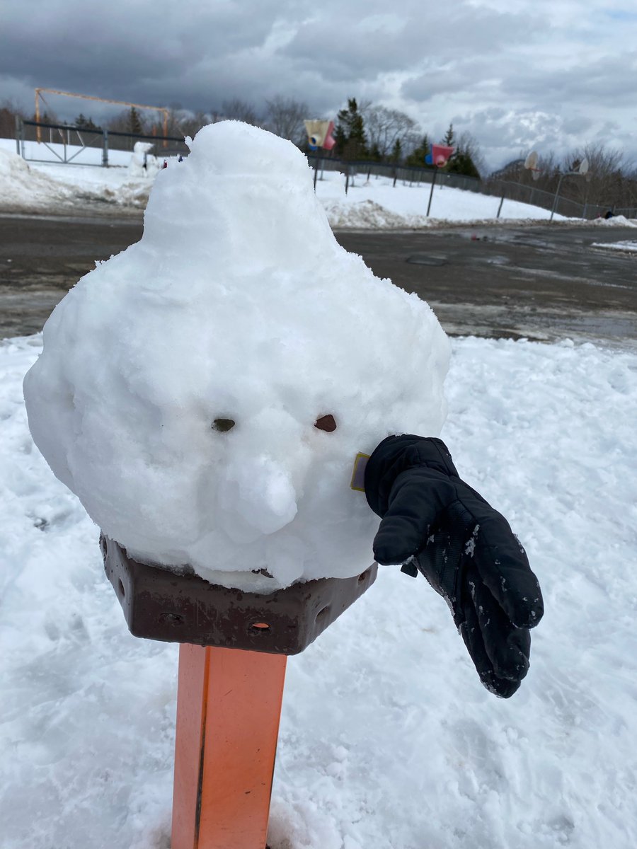 Beaver Bank Monarch tweet media