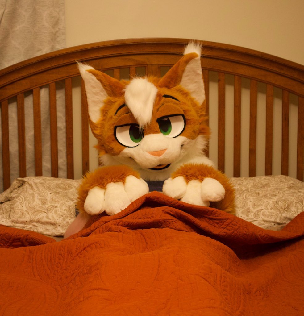KittyCat_Grant's tweet photo. Theres two sides to every kitty~
which are you? :3 ;3
Team #cutecat or team #comfycat
For #FursuitFriday https://t.co/cMLRgFLsXG