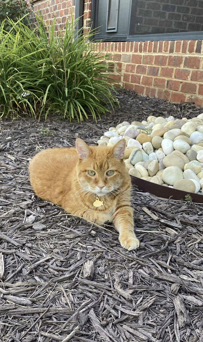 Jacqueline Kayler DeBrew tweet media