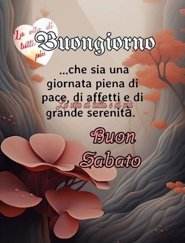 RITABIANCHi56 tweet media