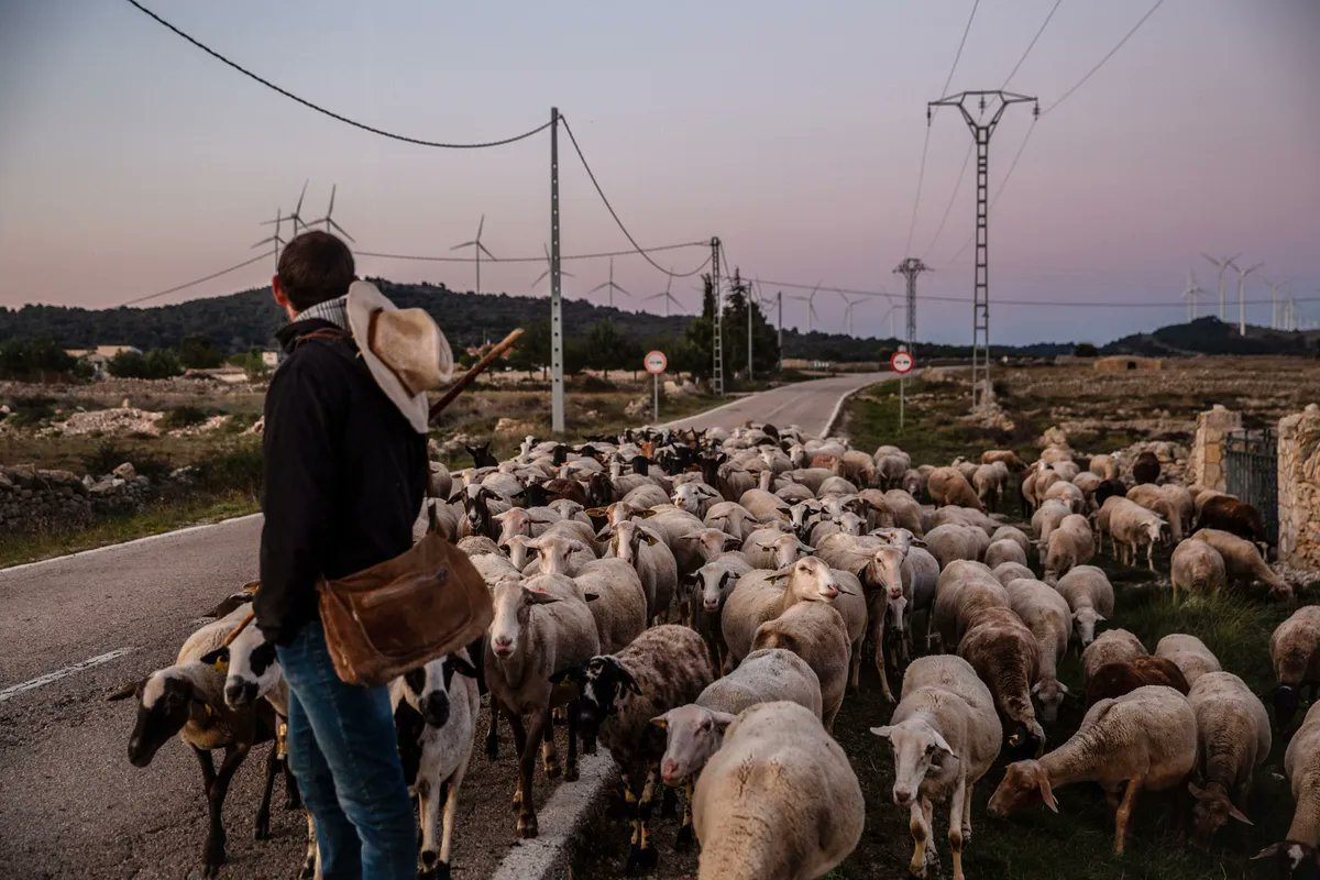 Zoe Schneeweiss tweet media