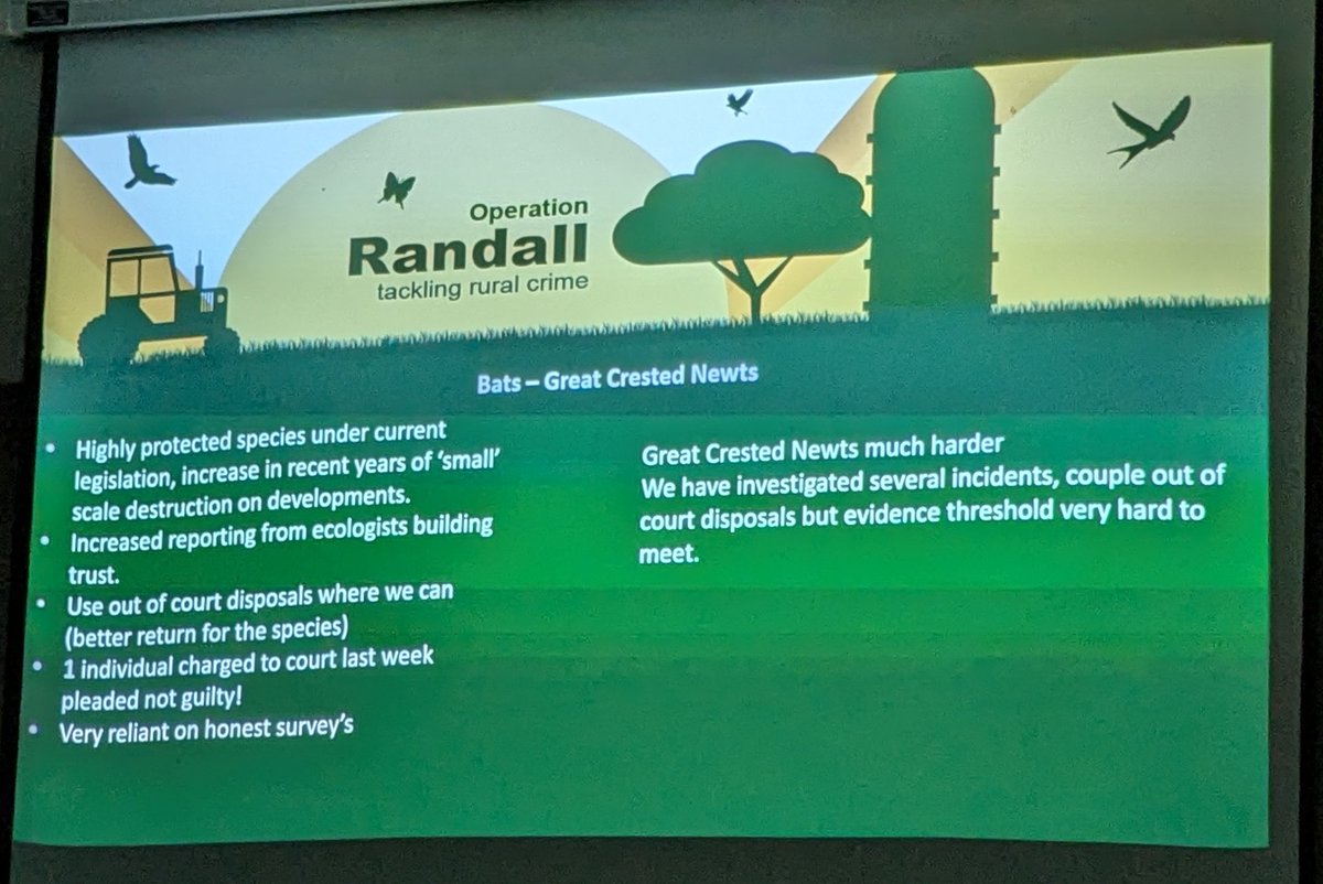 Norfolk & Norwich Bat Group tweet media