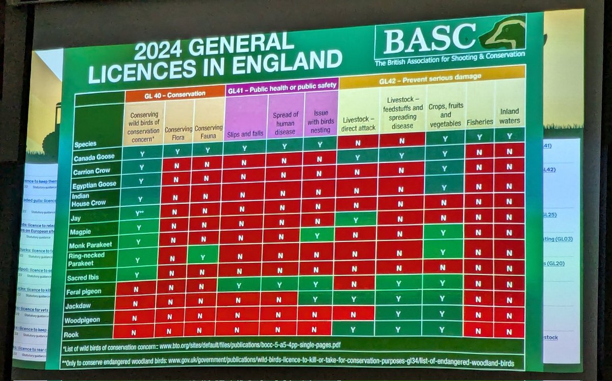Norfolk & Norwich Bat Group tweet media