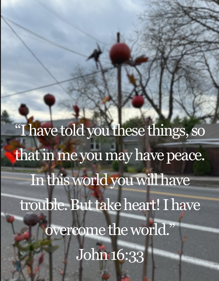John 16:33 #WordOfGod #JesusIsKing
