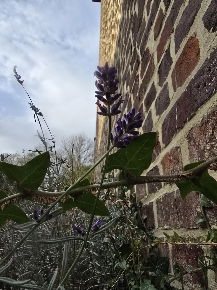 spitz_bernard's tweet photo. #leven #Otheo #geloofsonderzoek
Mirakels? Al zoveel in de gewone alledaagse dingen... https://t.co/AGRTVoDmaB
