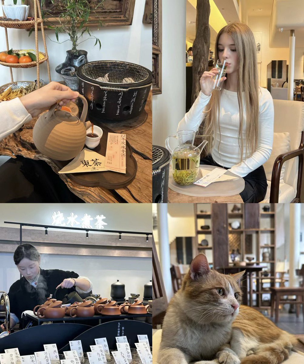 Christophe15320's tweet photo. Tea time of New Chinese Teahouse https://t.co/FQTMsHpOLN
