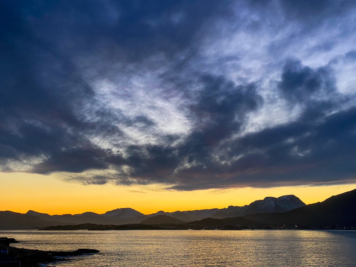 Rachel in Norway tweet media