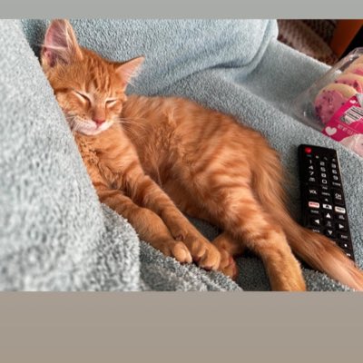 #NewProfilePic