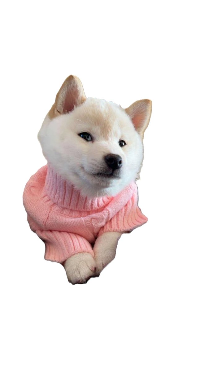 PNG cut for the lazi