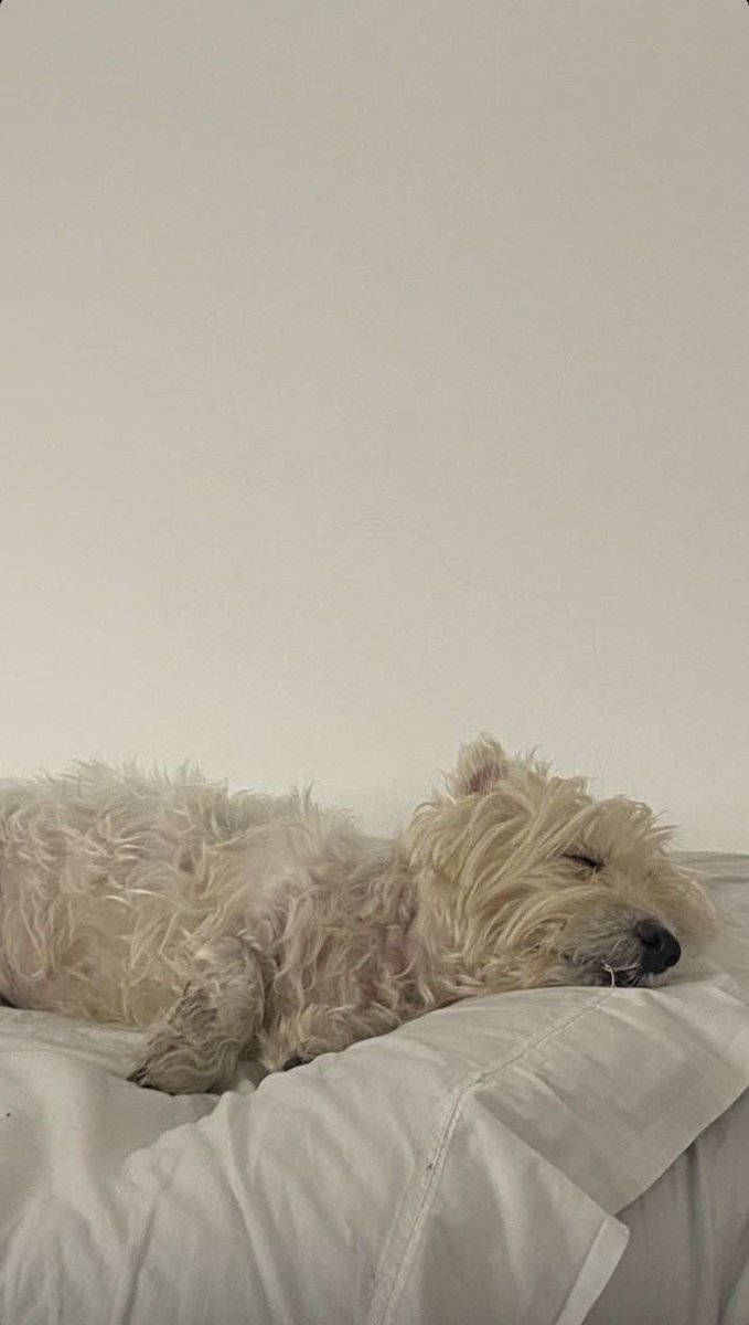 Edith Rue, 1993.
Punya, namanya mbek. Kalau lagi dekil, biasa dipanggil mbel, gembel.