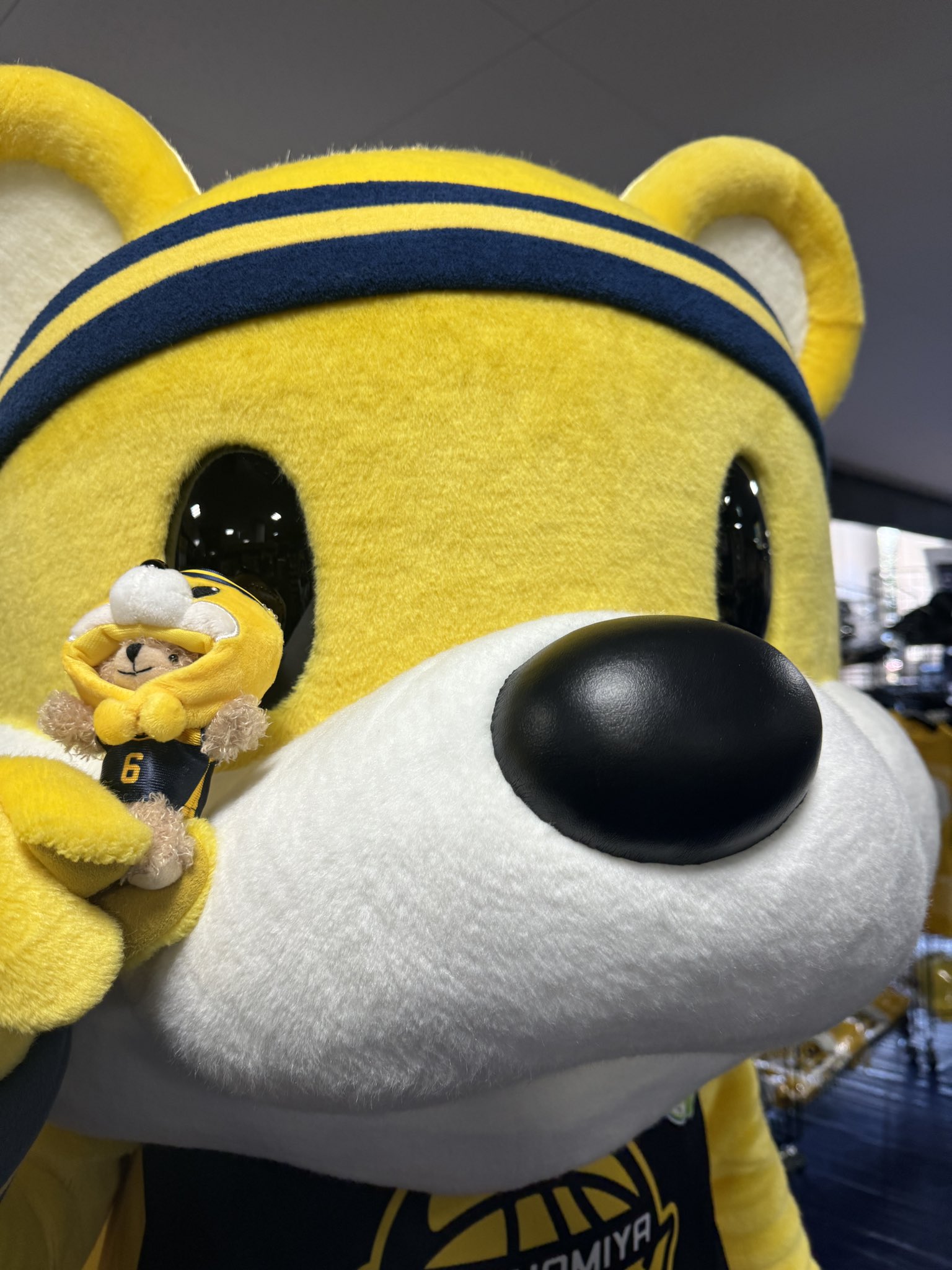 ビッキーさん用 ビット付きラップミニSK|ems excite | RETRO GIRL ONLINE STORE