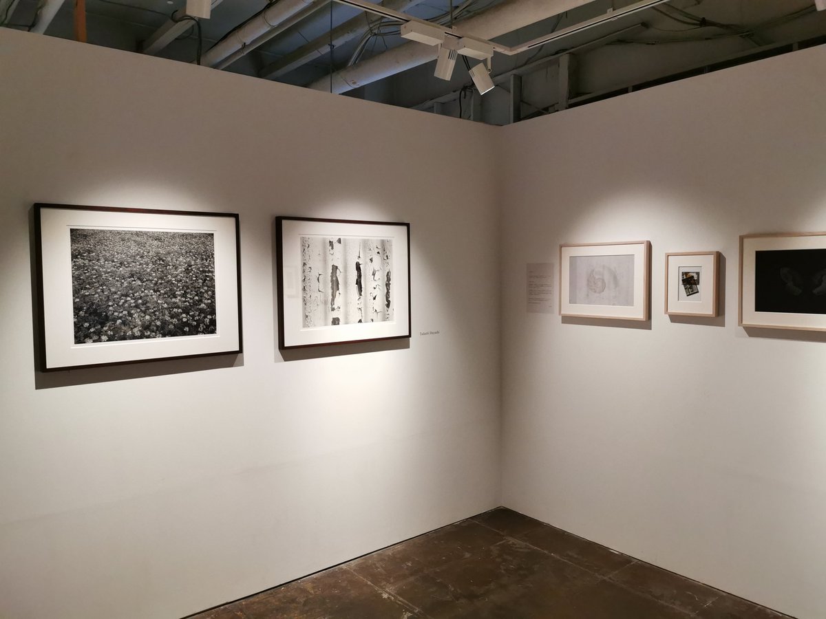 hyperneko_X's tweet image. 「Roots」ブルームギャラリー
内倉真一郎、北義昭、田中一泉、福島耕平､林直の五人グループ展。技術的・テーマ的に多彩で発見が色々あり。北、田中、福島の３名は初お目見えで貴重な機会。特に北義昭は写真と思えない、抽象画のような作品で、しかし微妙に3D立体視でき、不思議な体感を得られる