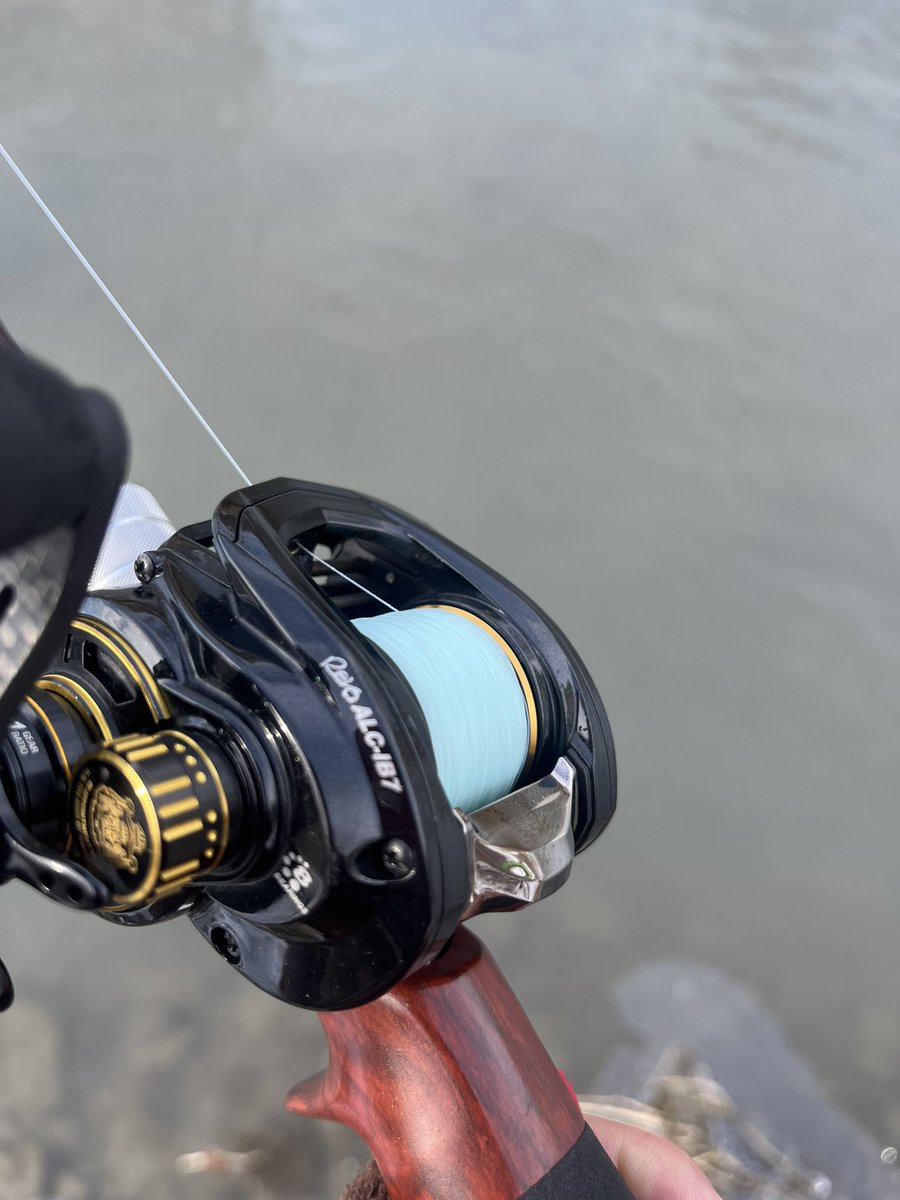 kenbo_ezo's tweet photo. ライン(8lb150m)巻いててやべーかなって思ったけど問題なし(釣れないけど)
エリート75ならピン撃てる(釣れないけど)
リュウキ45は少し浮くけど大丈夫(釣れないけど)
#alcib7 #lower73l https://t.co/KxEpVpc5Sq