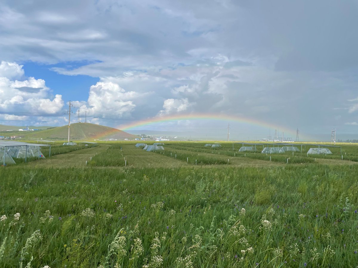 Our college is recruiting master and doctor students. If you were interested in grassland ecosystem, welcome to join us. We will provide full scholarship for 3 or 4 years.  Deadline is Feb. 28th, 2025. admissions.cau.edu.cn/art/2024/11/12…