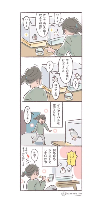 確定申告で疲弊中のためいつも以上に適当な絵面でお届け✨(о'∀`о)
#文鳥 
#4コマ漫画 