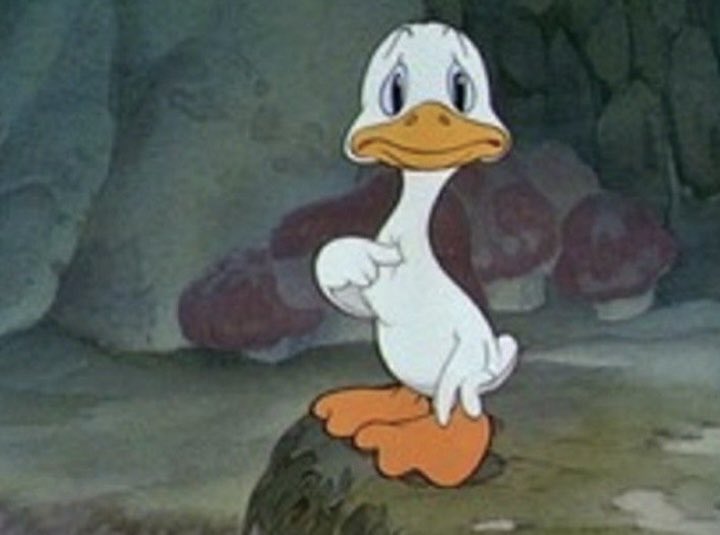 cla (@claradrago2) on Twitter photo 