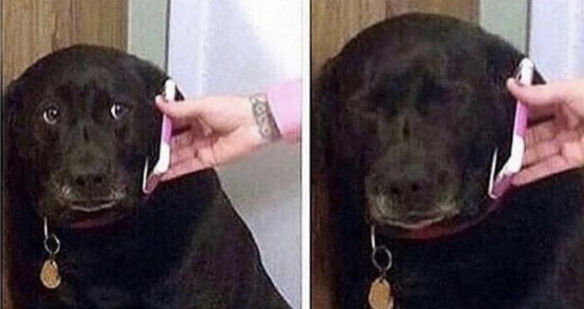 Doozy Dun tweet media