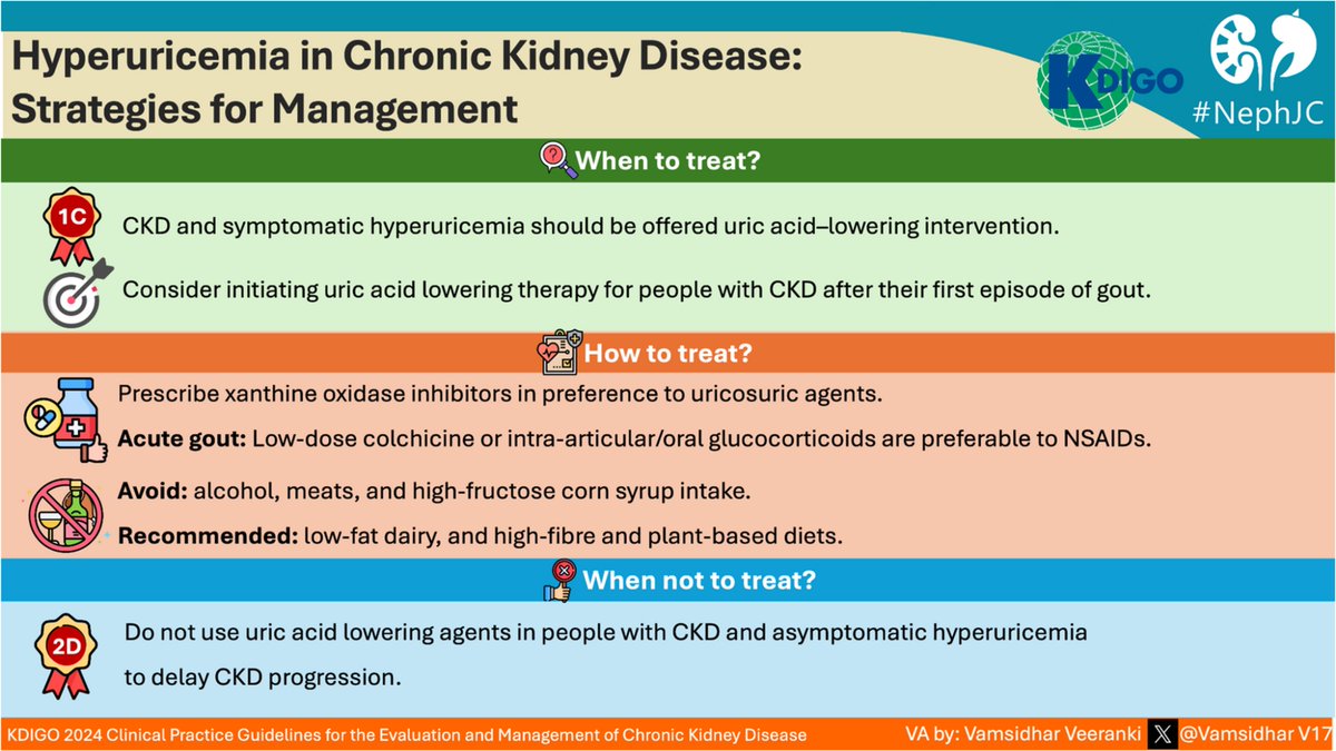 Elba Medina (@elbaonelida) on Twitter photo Uric Acid in Chronic Kidney Disease🫘. When and how to treat it? <a href="/goKDIGO/">KDIGO</a> <a href="/NephJC/">Nephrology Journal Club</a> infographic by <a href="/VamsidharV17/">Vamsidhar Veeranki</a> Uric Acid in Chronic Kidney Disease🫘. When and how to treat it? <a href="/goKDIGO/">KDIGO</a> <a href="/NephJC/">Nephrology Journal Club</a> infographic by <a href="/VamsidharV17/">Vamsidhar Veeranki</a>