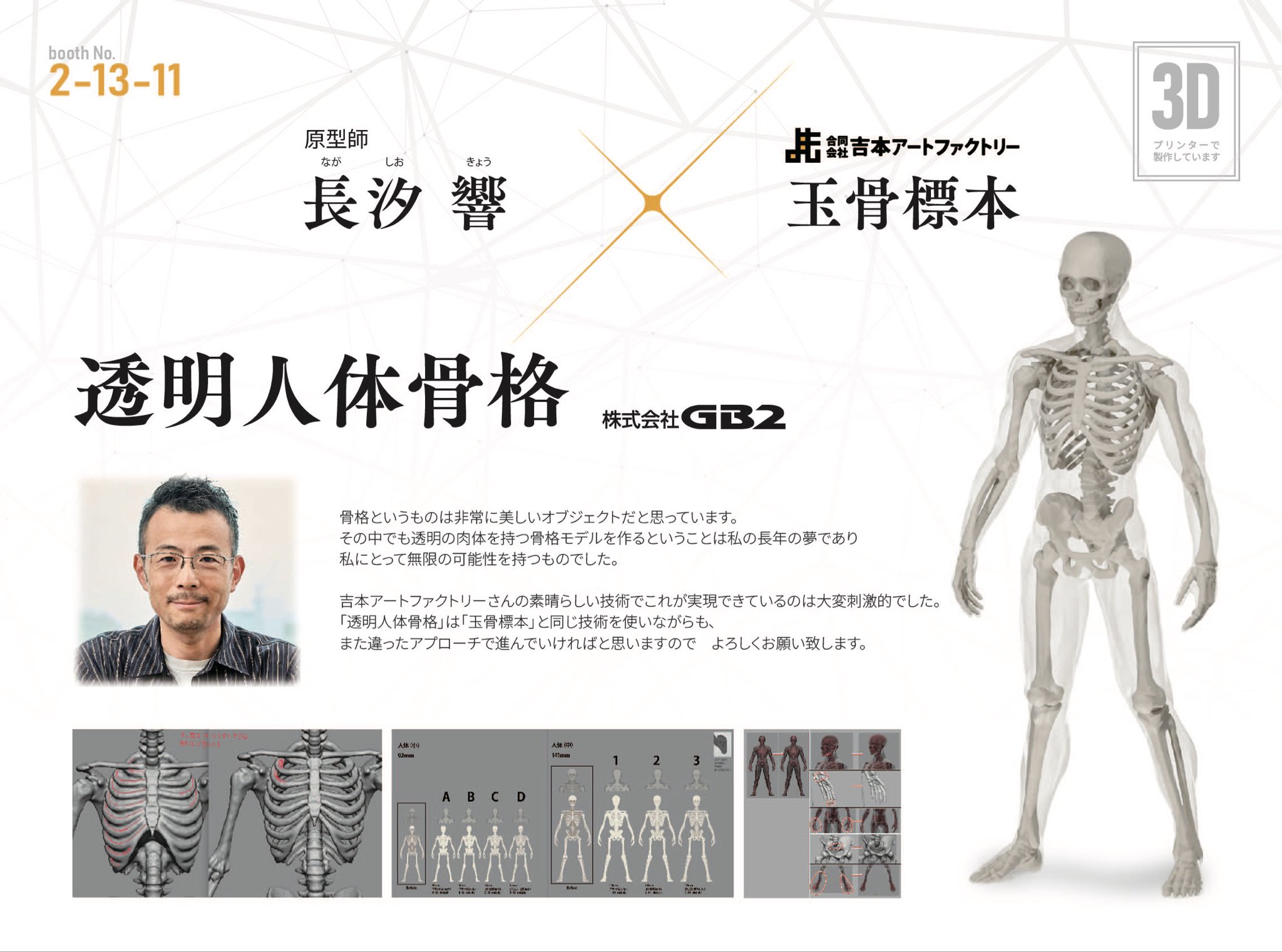 【特別価格】 天使解剖標本オブジェ(定価22000円) Amazon.co.jp: 小型全身骨格模型 - ショーティー・1/2縮尺型全身