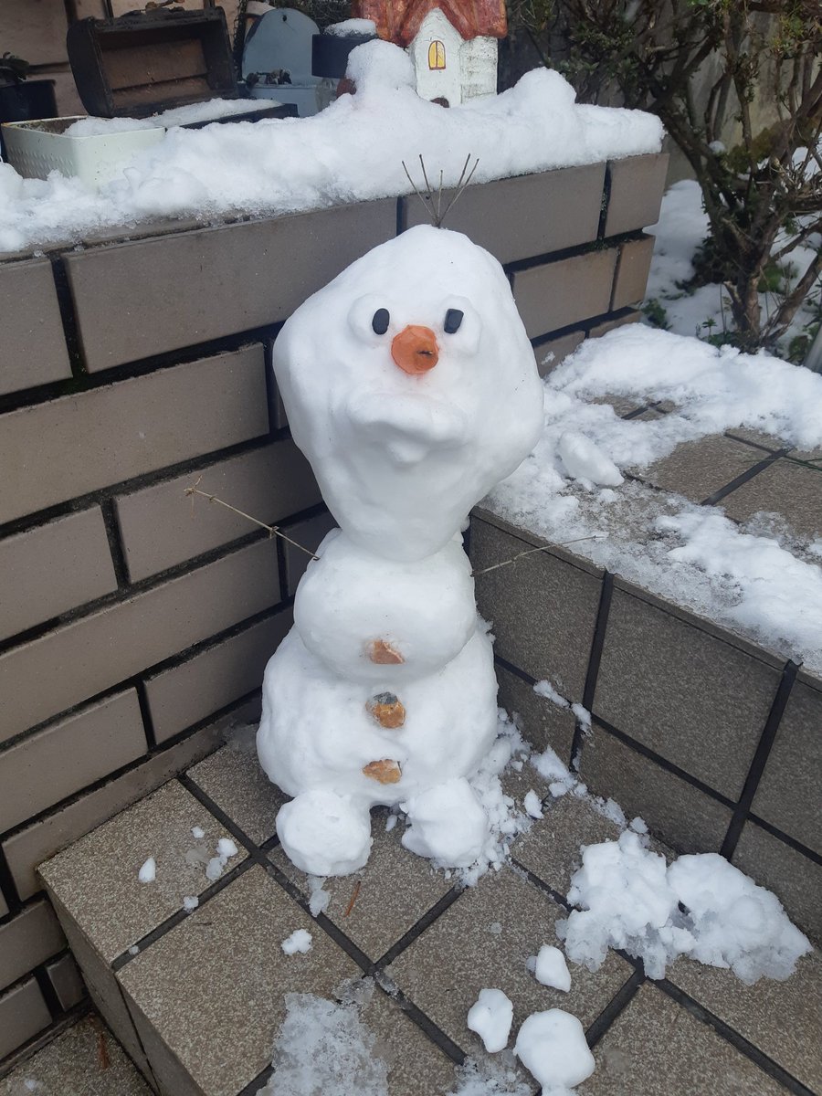 rena032432's tweet photo. 山本家雪まつり https://t.co/kIsrsRBLn7