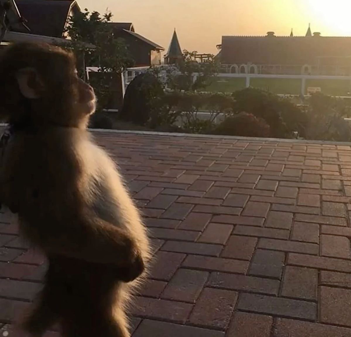 Me staring at the faze guys wishing it was me with them