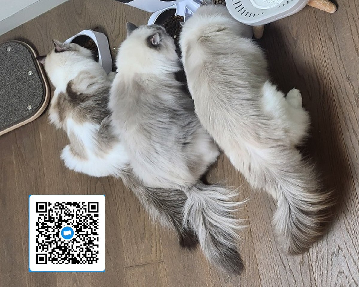 otterwins's tweet photo. ayooo temen-temen https://t.co/ga5JivnYCQ