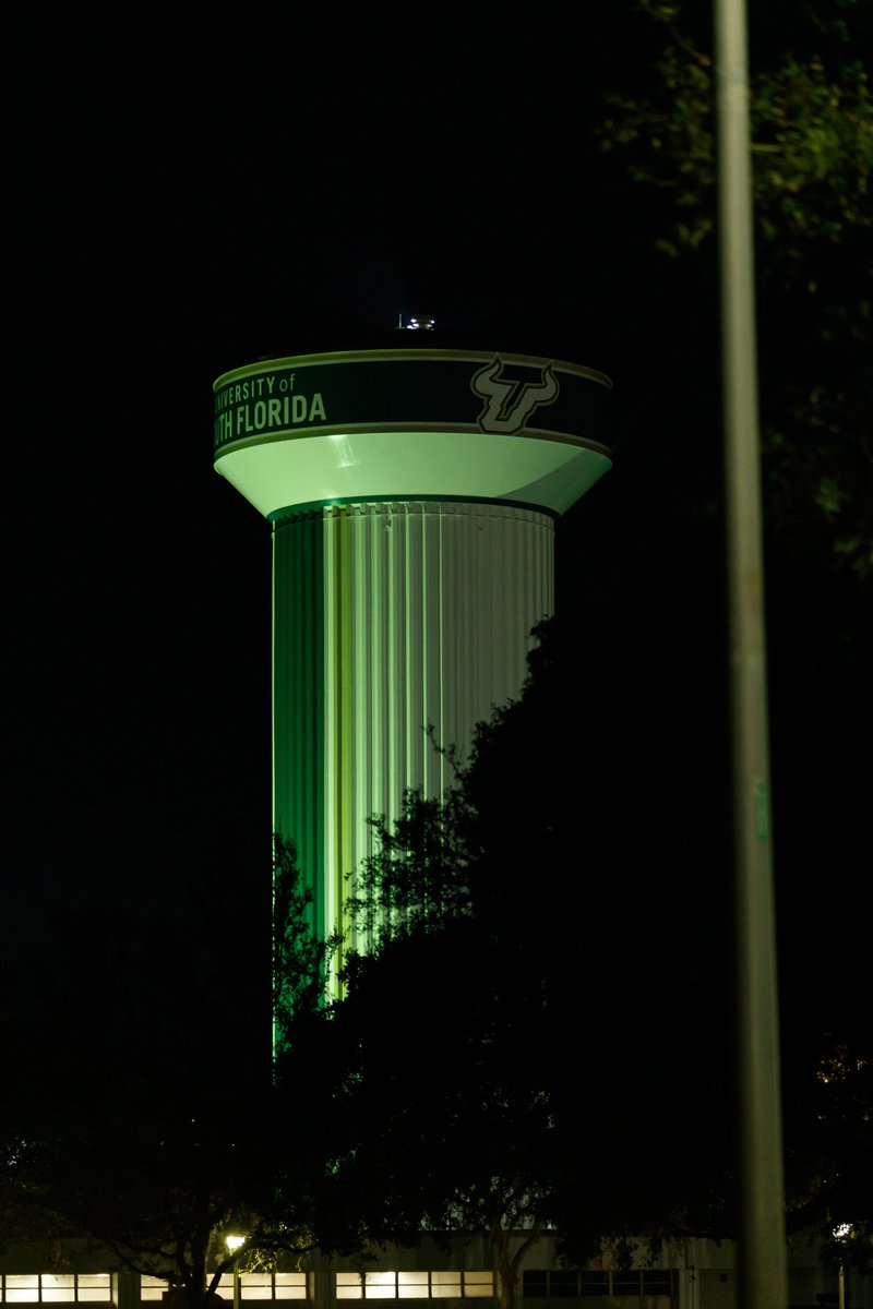 USFAthletics's tweet photo. LIGHT IT UP 

#HornsUp 🤘 https://t.co/BgyjJDqMiq