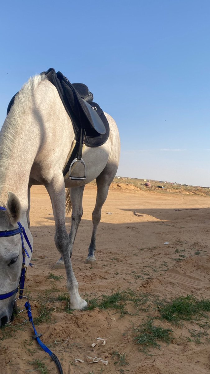 C_nj70's tweet photo. صباح الخخير https://t.co/fg4nwZXpCB
