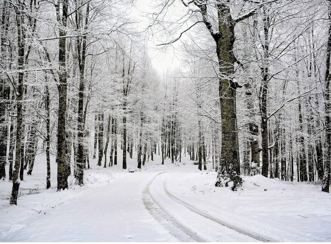 Günaydınlar hayırlı sabahlar güzel bir hafta sonu diliyorum.❄️☕️☕️❄️🕊