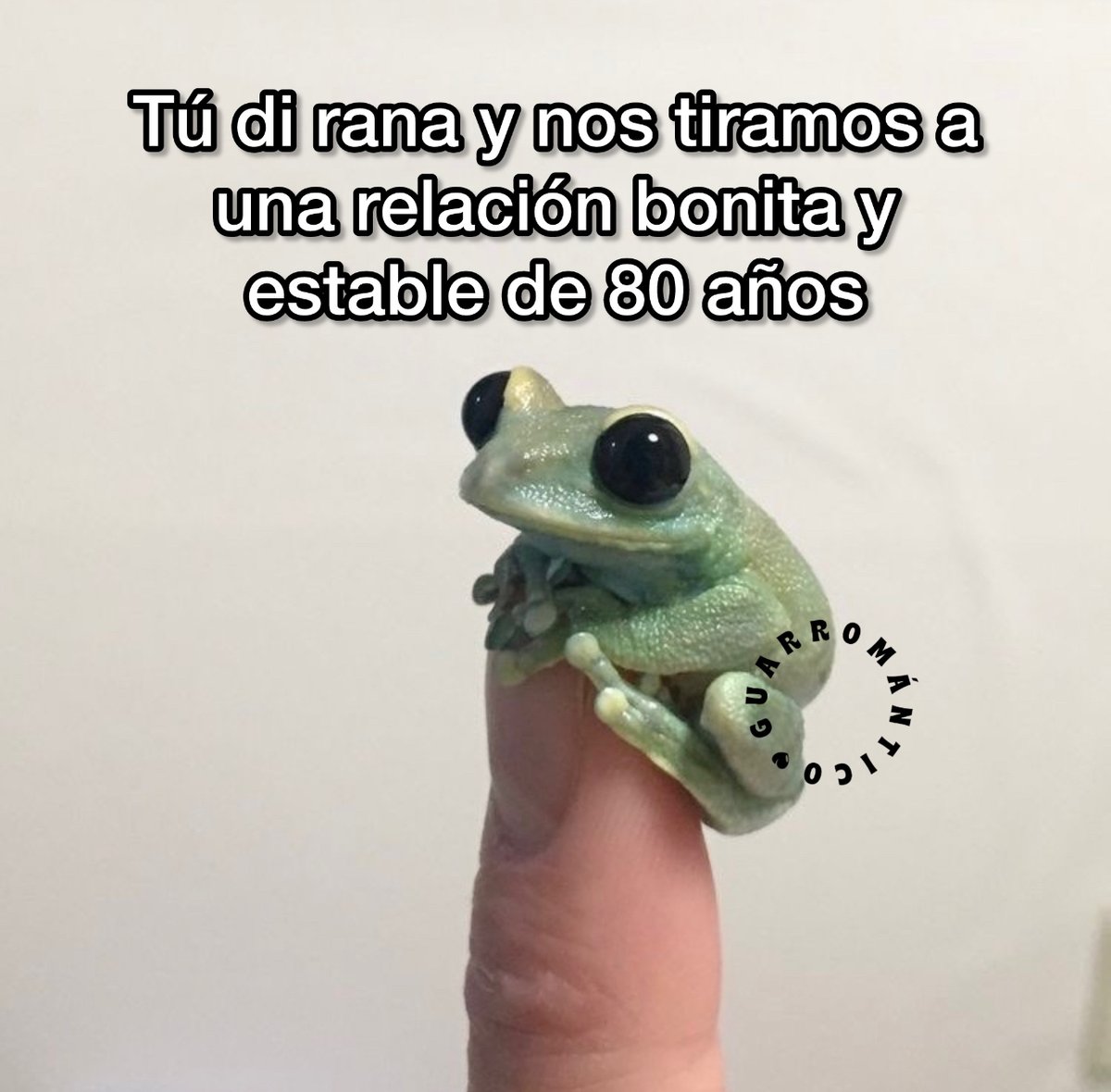 Guarromantico_'s tweet photo. Tú di rana. https://t.co/zYjib2z5Yn
