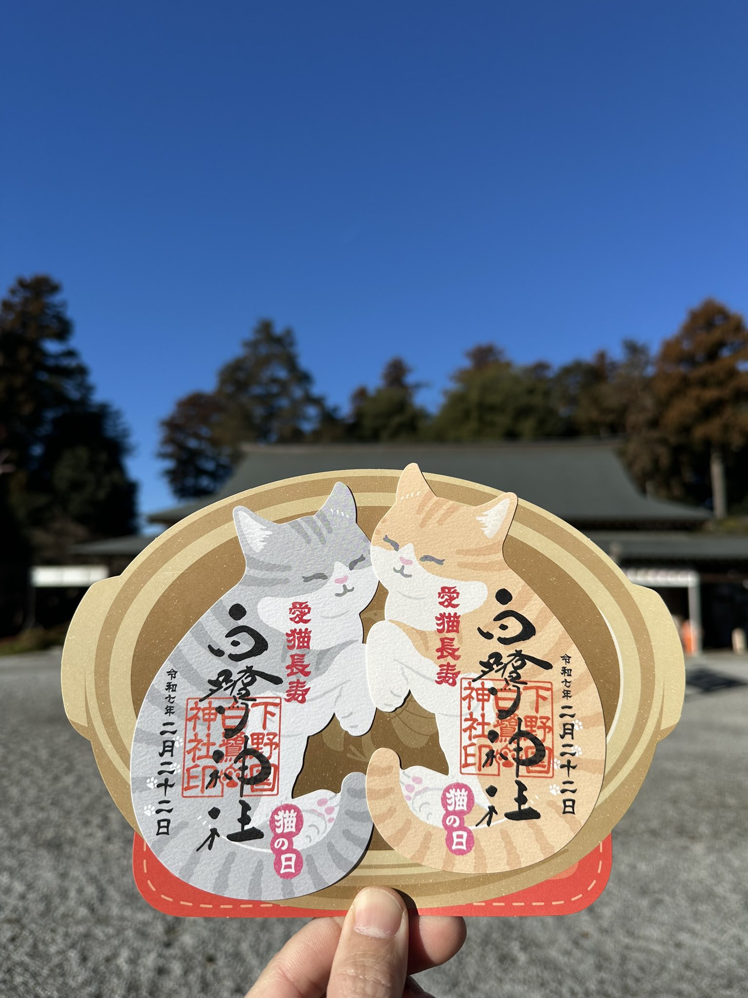 Amazon.co.jp: 白鷺神社 猫の日 可愛らしい茶トラ猫さん 型抜き