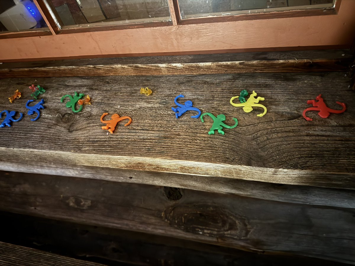 4eyedmonkey 🤓😎🥸 tweet media