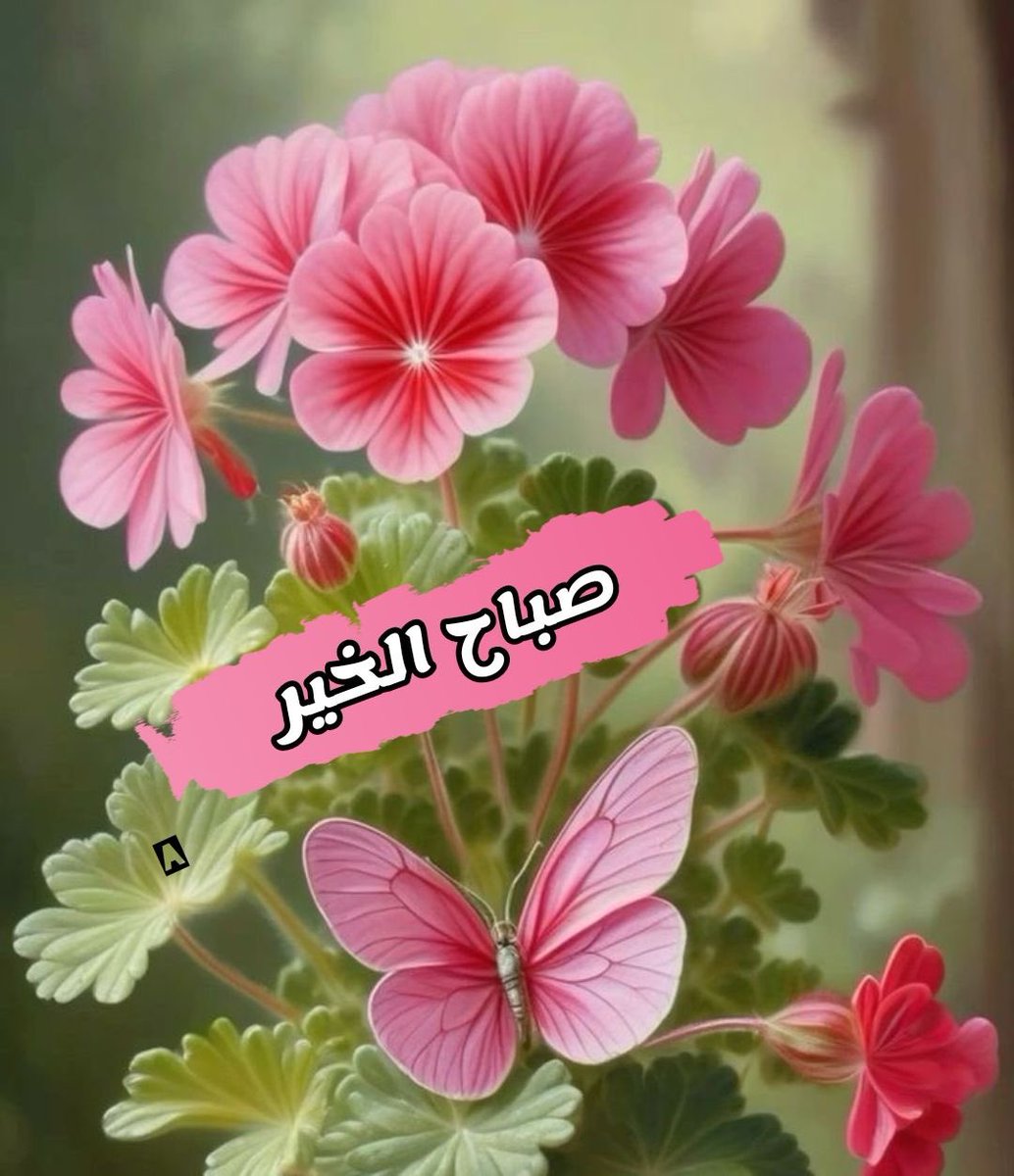 اللهم اياماً تحتوينا  فيه الطافك الخفية. #صباح_الخير 🦋