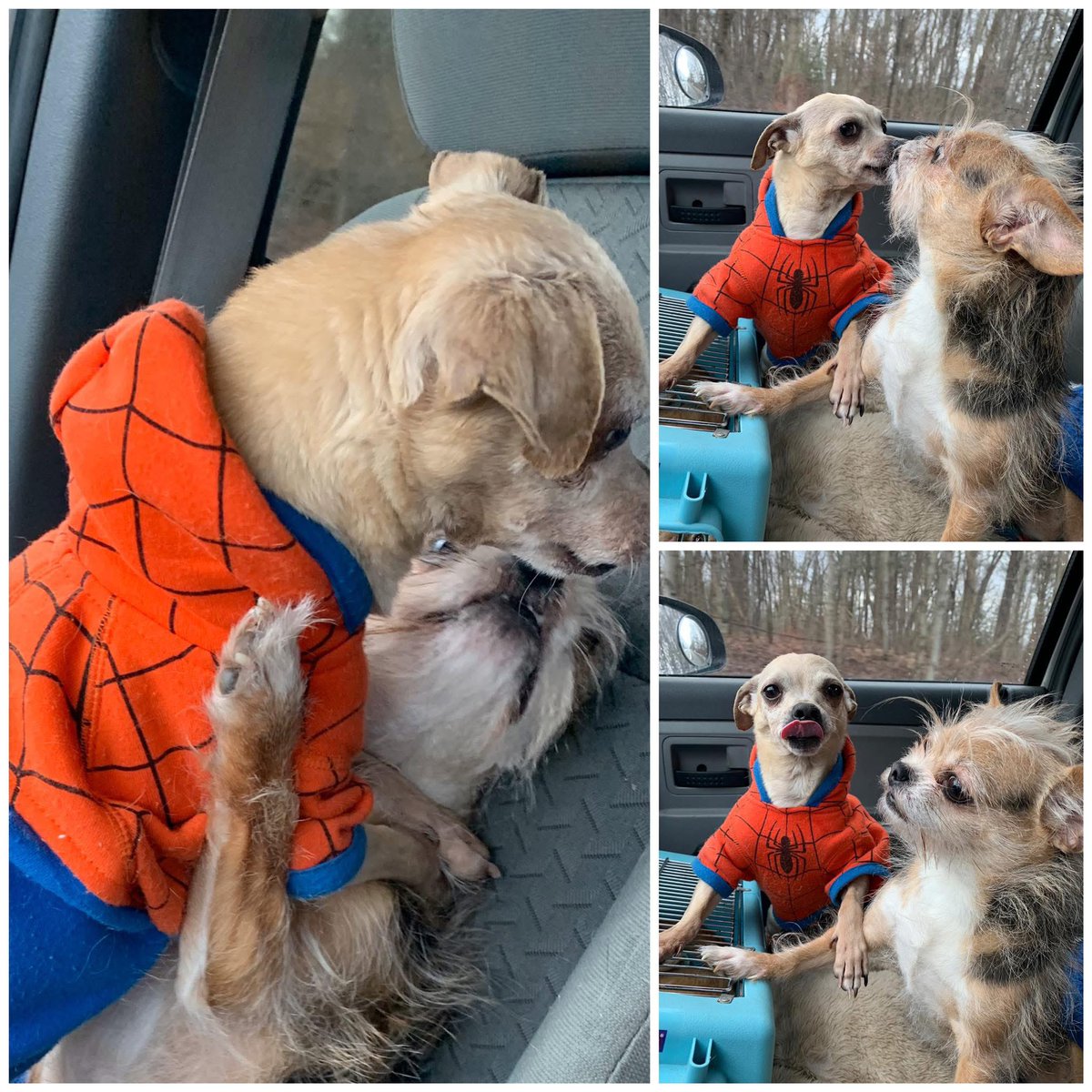 When you get in an argument in the car and your mom catches you and tells you to kiss and make up  or your not getting any McDonald’s