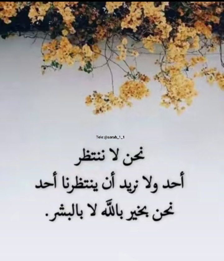❀ Amal ❀ (@hope_amal_1) on Twitter photo 