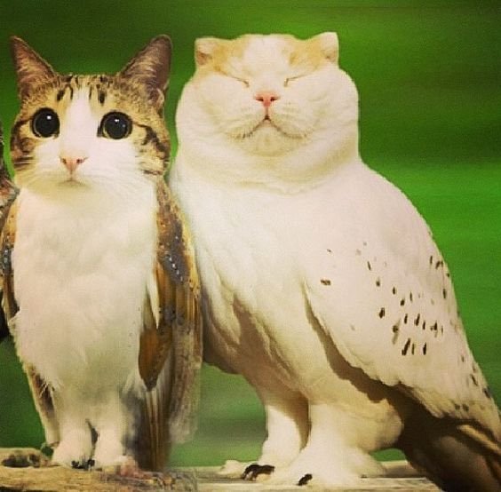 SasOrig1nal's tweet image. Ahora la nueva moda sera hacer remake a mods viejos y adaptarlos a 2025

Me gusta la idea tbh