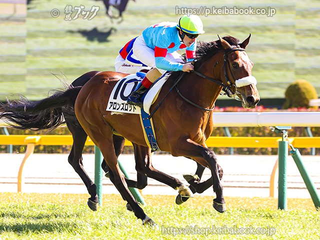 アーモンドアイの初仔 #アロンズロッド が4戦目で待望の初勝利✨🥇

2025年2月8日東京6R 3歳未勝利
#クリストフ・ルメール 騎手
#東京競馬場