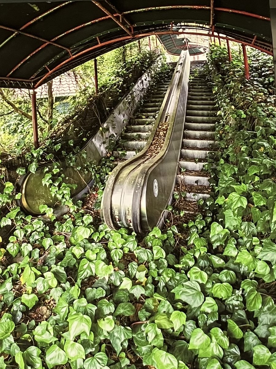 ShantyHiroe1031's tweet image. 本日初日toshiboさん⁦@JIYUKENKYU_jp⁩ の廃墟写真展🏚️を秋葉原書泉ブックタワーにて観てきました〜

ご本人もいらしてフランクに色んな質問にも答えて下さいました❣️

時間を忘れて見入ったよ‼️

...写真集にもサイン✍️貰った✌️

#秋葉原書泉ブックタワー
#scapes
#廃墟
#ゾクゾクする
#大好き