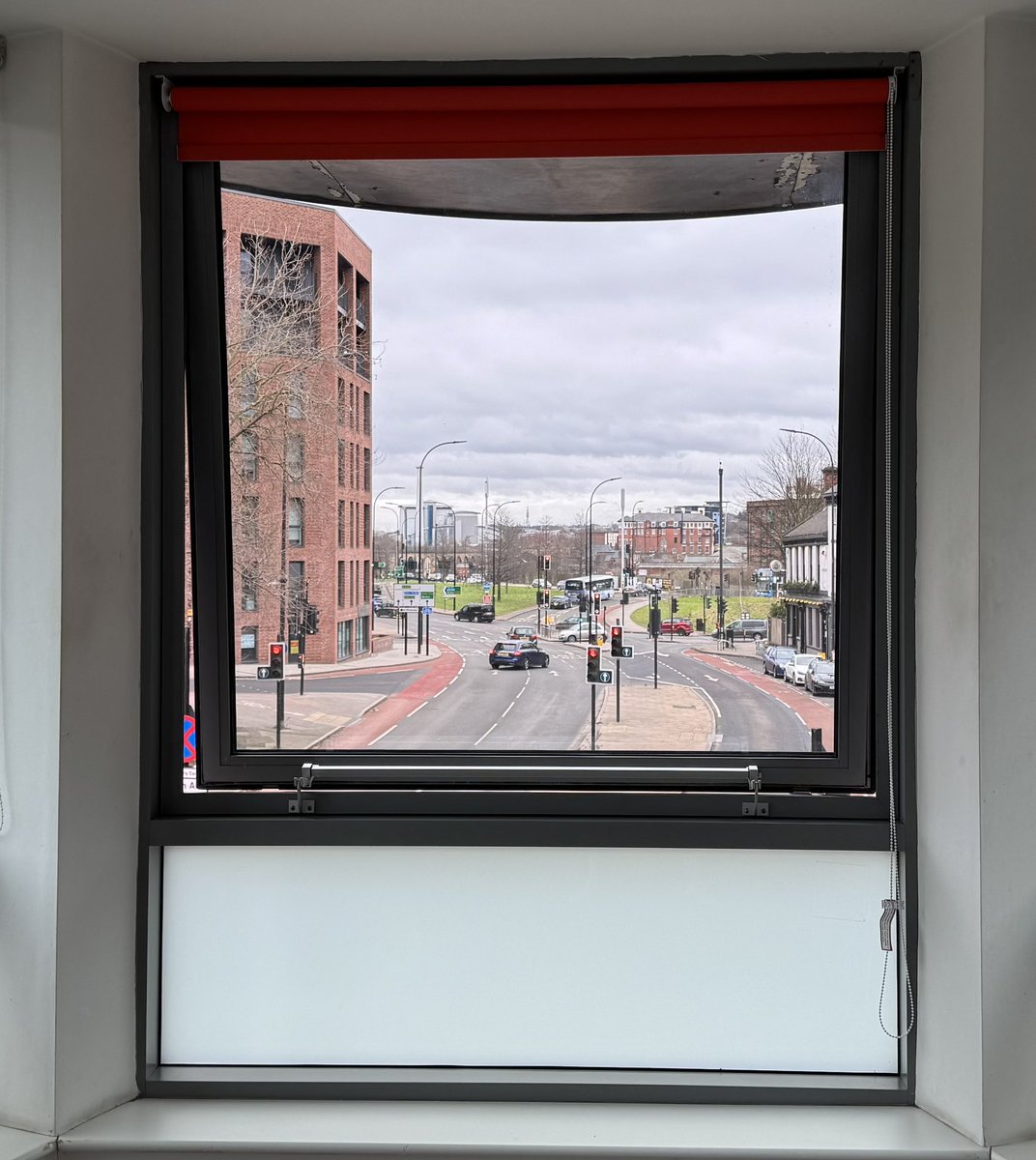 David Cross tweet media