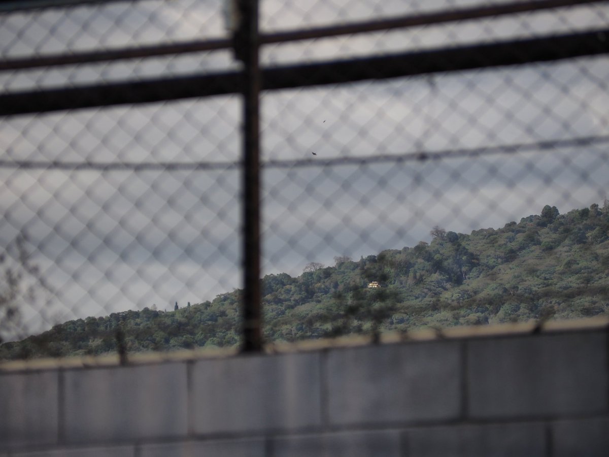 Stryyyyyyyyyyyy's tweet image. 