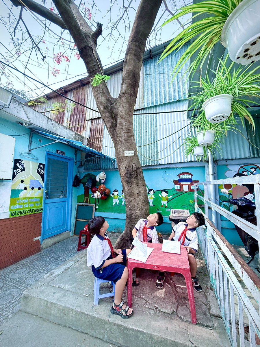 luuly1979's tweet photo. Tiết học chiều 7.2.2025 ở sân trường, bên cây rợp bóng mát, nhiều em thốt lên: “Chill quá thầy ơi! Học như vầy sướng quá! Đã thiệt luôn! Bữa nào cũng học như zậy thích ghê…” Đây chỉ là tiết học tập làm văn ngoài trời thôi mà. Mấy đứa làm lố quá à! Há há https://t.co/wLAoDogc4F