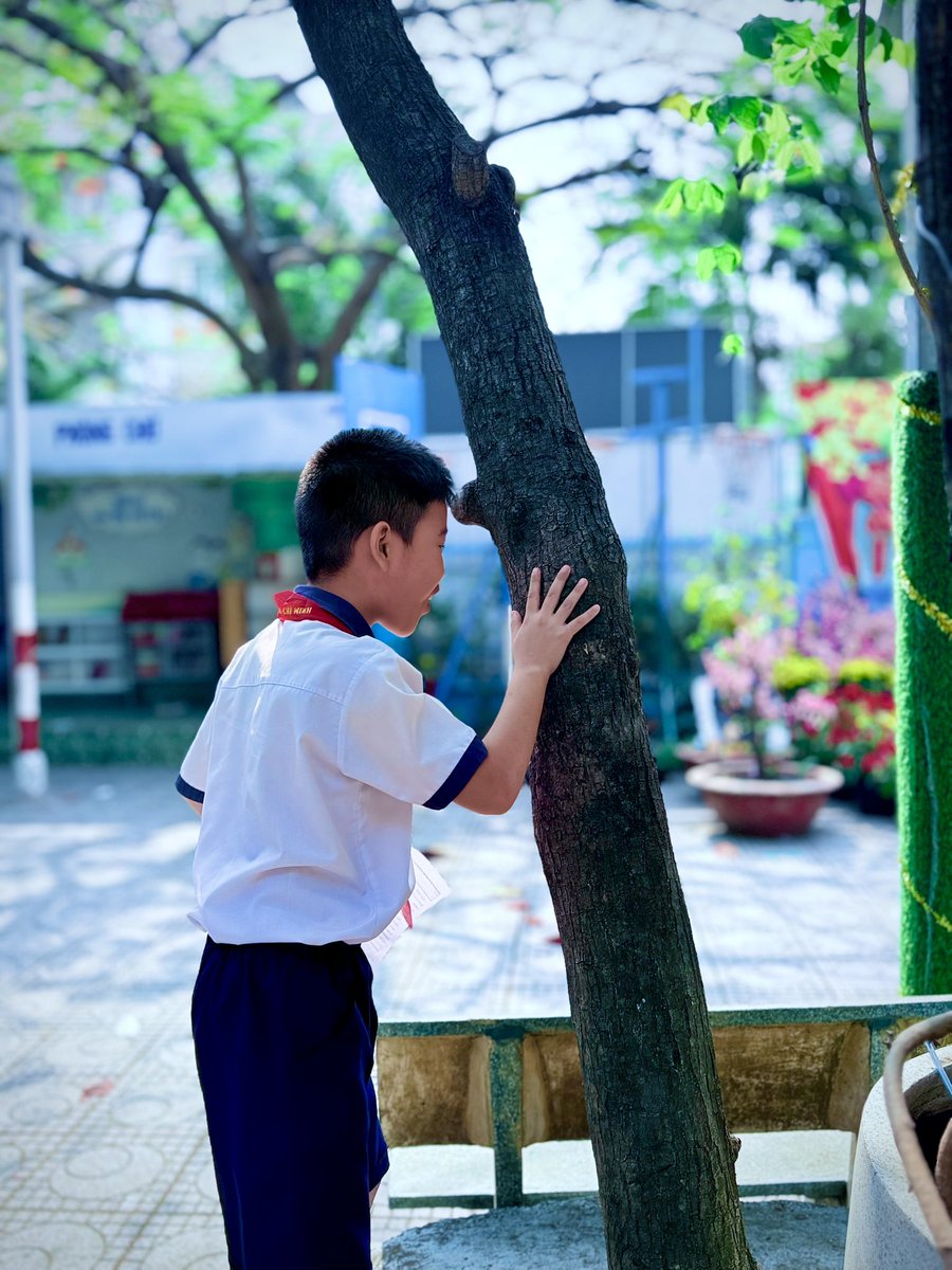 luuly1979's tweet photo. Tiết học chiều 7.2.2025 ở sân trường, bên cây rợp bóng mát, nhiều em thốt lên: “Chill quá thầy ơi! Học như vầy sướng quá! Đã thiệt luôn! Bữa nào cũng học như zậy thích ghê…” Đây chỉ là tiết học tập làm văn ngoài trời thôi mà. Mấy đứa làm lố quá à! Há há https://t.co/wLAoDogc4F