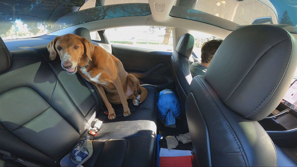 DatelineNBCProd's tweet photo. Oliver's dog Ozzy's good behavior during our shooting makes him tonight's winner of #DogsofDateline in my heart! ❤️ https://t.co/O8ML2MEP92