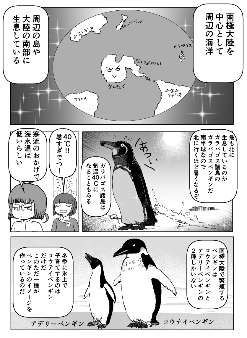 大寒波が来たので #クック先生の動物講座 「ペンギン」回再掲2/2 