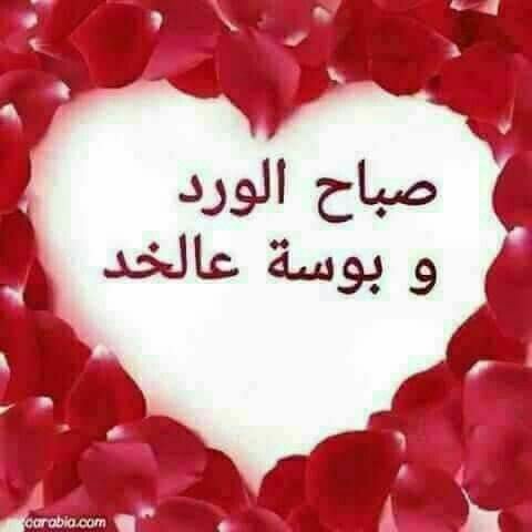 احمد شهاب (@mdshb593411) on Twitter photo 